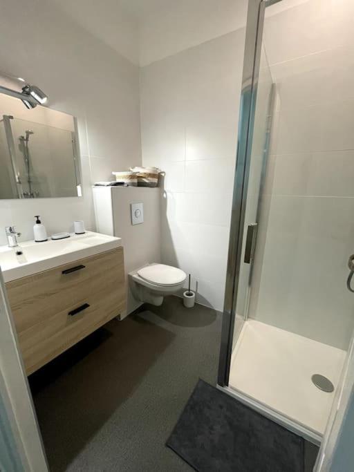 Superbe Appartement Cosy Avec Jardin Nîmes Extérieur photo